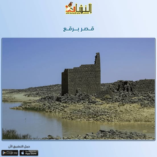 قصر برقع هو قصر صحراوي، يقع في محافظة المفرق شرق الأردن، وتحديدًا في منطقة الرويشد. وهو أحد القصور الأثرية الإسلامية التي بُنيت من حجارة البازلت السوداء المتوفرة في تلك المنطقة